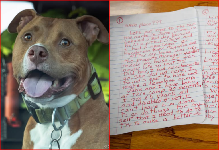 Homeless Veteran Leaves Dog at Fire Station Asking, “Please Help My Baby” — Now Both Have New Homes