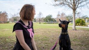 17 Dog Breeds That Attach to One Person and Never Let Go
