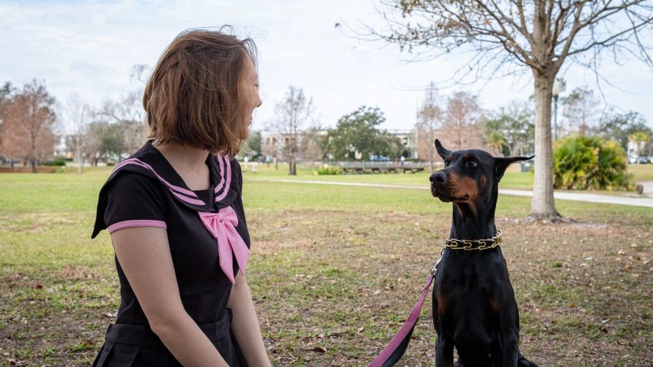 17 Dog Breeds That Attach to One Person and Never Let Go