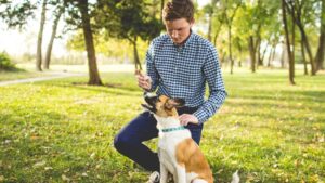 Canine Psychology Says Dogs Recognize the Distinct Sound of Their Owner's Car and Experience an Immediate Dopamine Rush of Anticipation Before the Door Opens