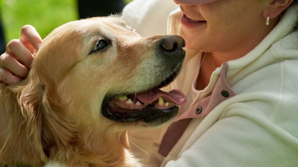 9 Breeds That Bond So Deeply They Literally Sync Their Heartbeat With Yours
