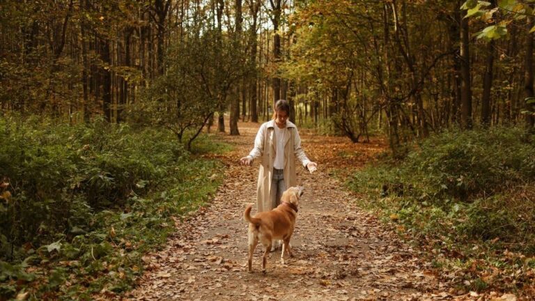 Why Dogs Suddenly Start Following You From Room to Room After You've Been Crying (It's Not What You Think)
