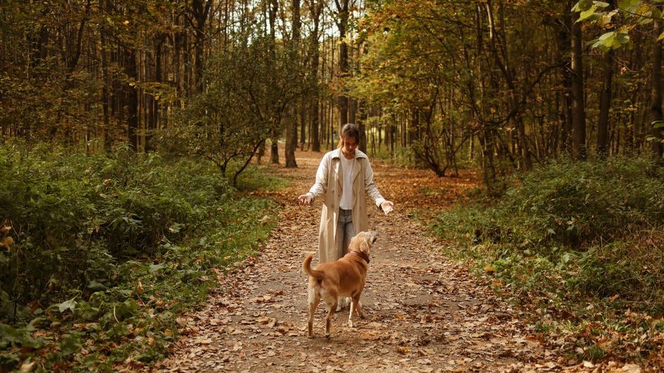 Why Dogs Suddenly Start Following You From Room to Room After You've Been Crying (It's Not What You Think)