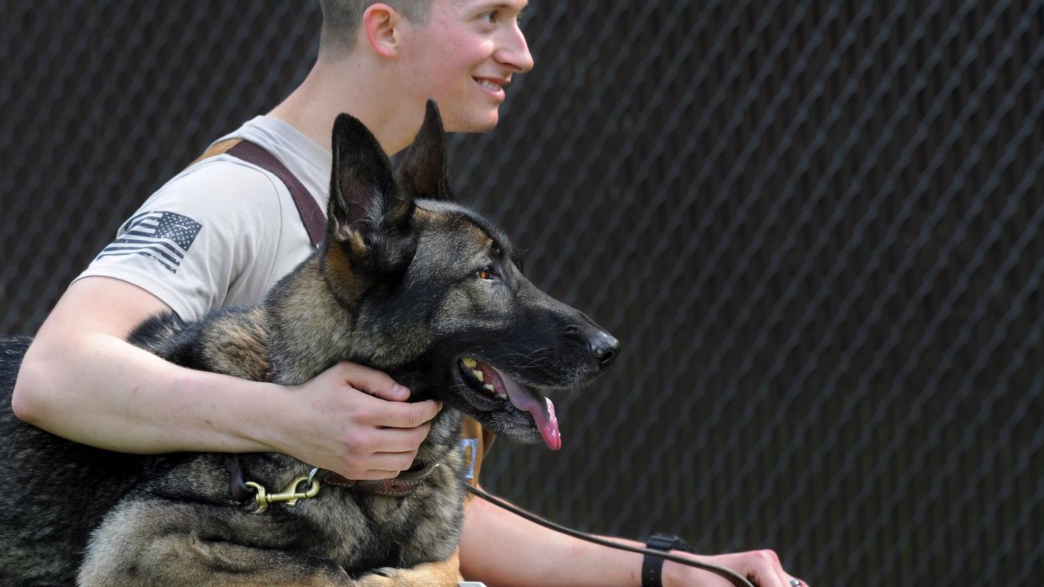 Canine Psychology Says When Your Dog Suddenly Becomes Protective of One Family Member, They Are Guarding a Valuable Resource or Reacting to Group Insecurity
