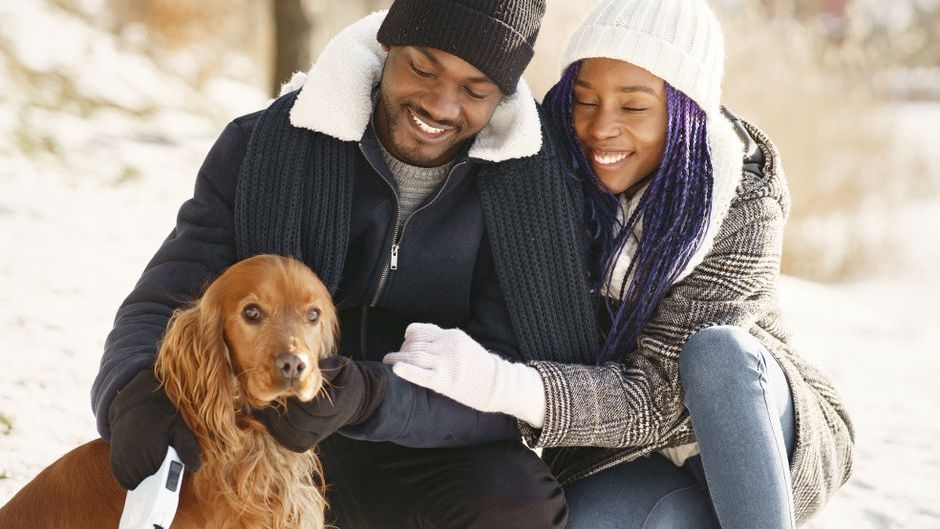 Veterinarians Say Dogs Who Suddenly Start Sleeping in a Different Room Are Often Responding to Hidden Joint Pain, Aging, or Seasonal Temperature Shifts
