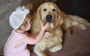 Animal Psychology Says Dogs Who Were Abused Show Greater Loyalty Once Trust Is Earned Than Dogs Who Were Never Harmed