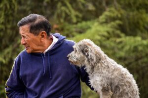 15 Characteristics That Make Senior Dogs the Best Companions