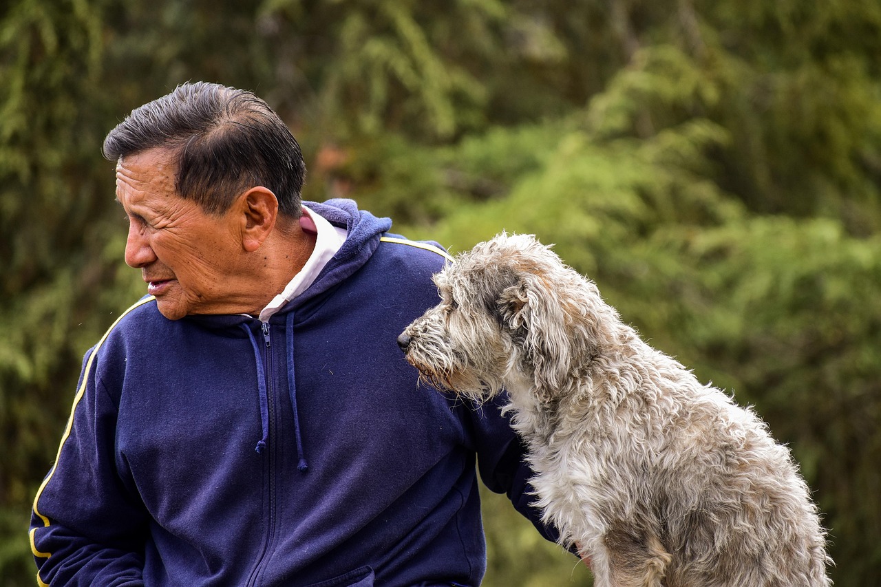 15 Characteristics That Make Senior Dogs the Best Companions