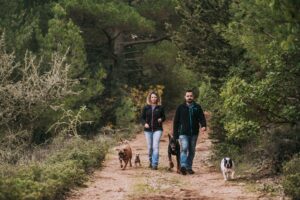 12 Reasons Older Couples Swear by Owning Two Dogs Instead of One