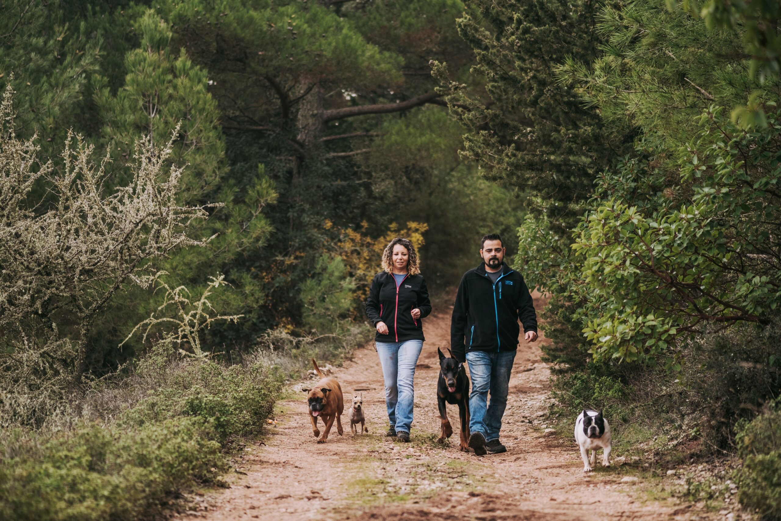 12 Reasons Older Couples Swear by Owning Two Dogs Instead of One