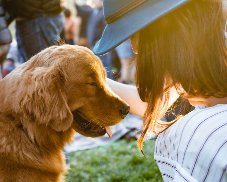 Zodiac Signs That Excel with Therapy Dogs: Astrological Matches Revealed