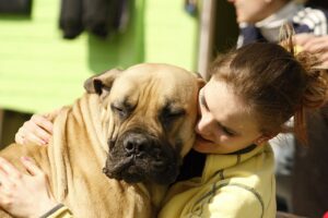 9 Things That Happen to Dogs' Brains When Their Favorite Person Comes Home (Scientists Just Mapped It)