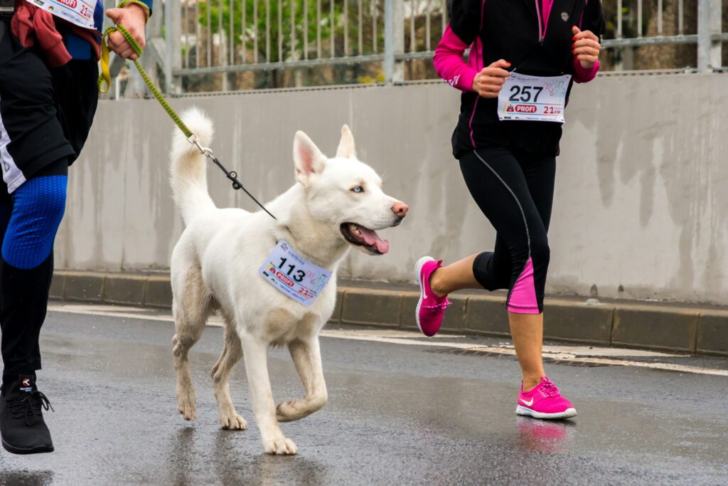 12 Ways Dogs Help You Stay Present and Mindful