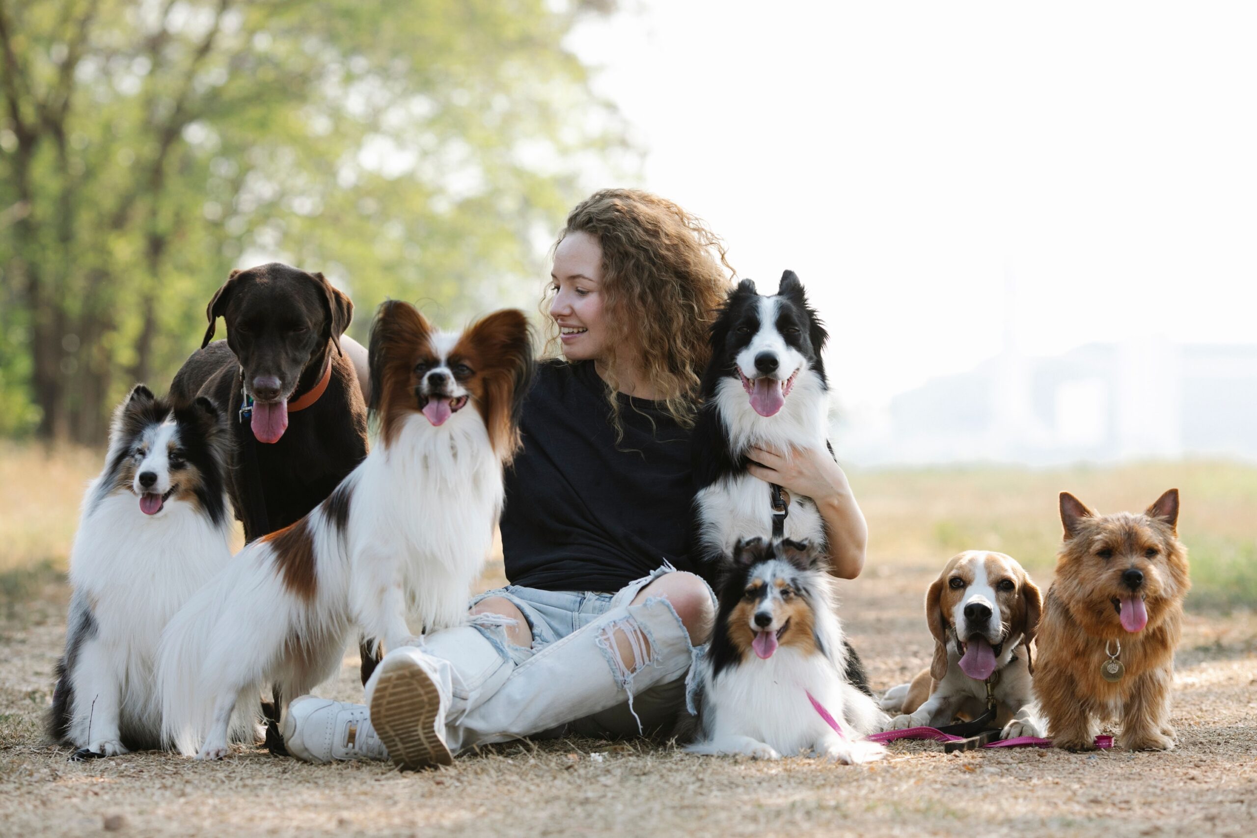 10 Ways Your Dog’s DNA Holds Secrets About Human Evolution