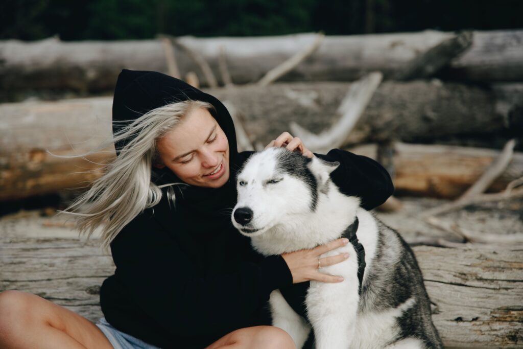 The Zodiac Signs That Thrive With a Husky