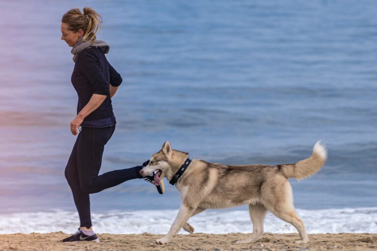 15 Things Only Your Dog's Favorite Person Ever Gets to See