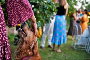 12 Things About You Your Dog Would Never Forget in a Hundred Years