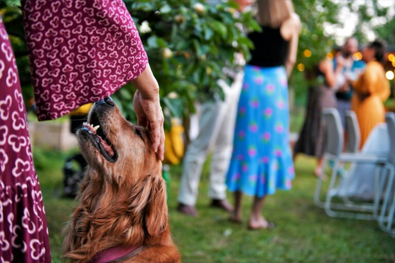 12 Things About You Your Dog Would Never Forget in a Hundred Years
