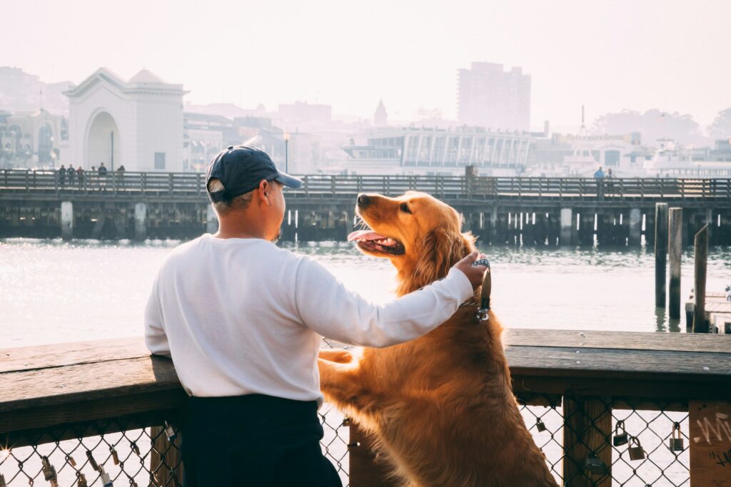 Canine Science Says Dogs Can Read Human Emotions in Our Eyes and Faces