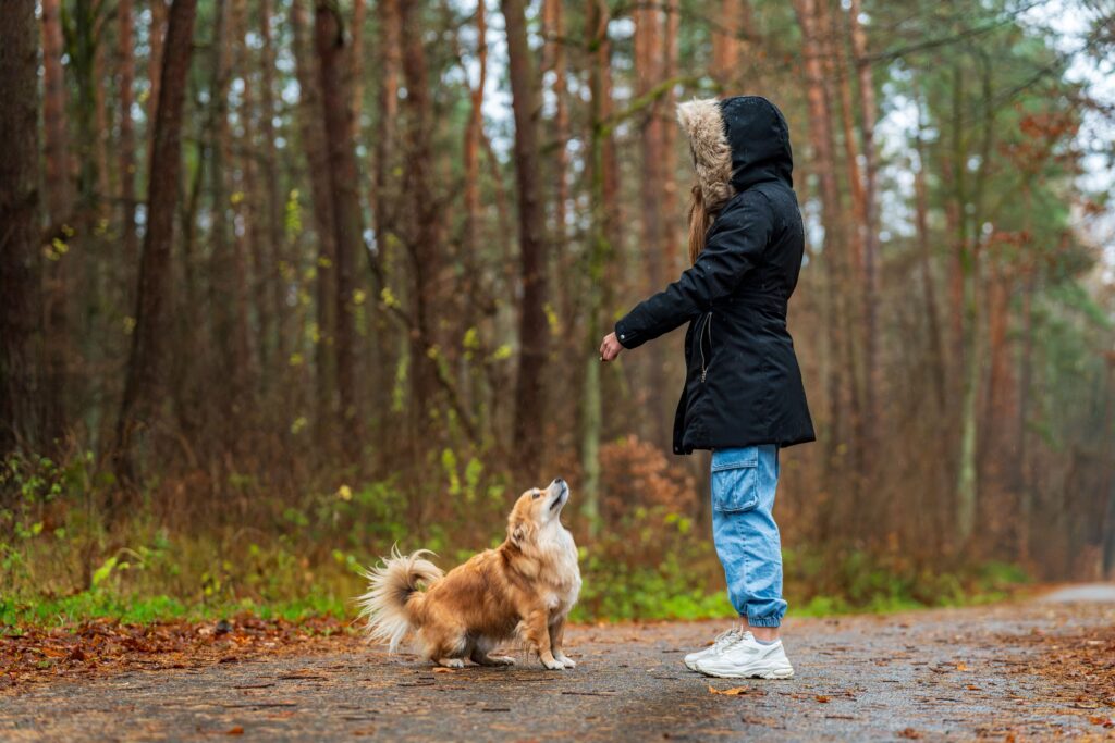9 Behaviors That Prove Your Dog Has Appointed Themselves as Your Personal Physician