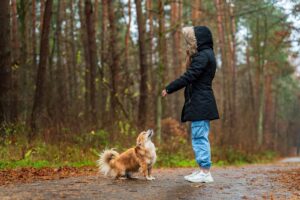 9 Behaviors That Prove Your Dog Has Appointed Themselves as Your Personal Physician
