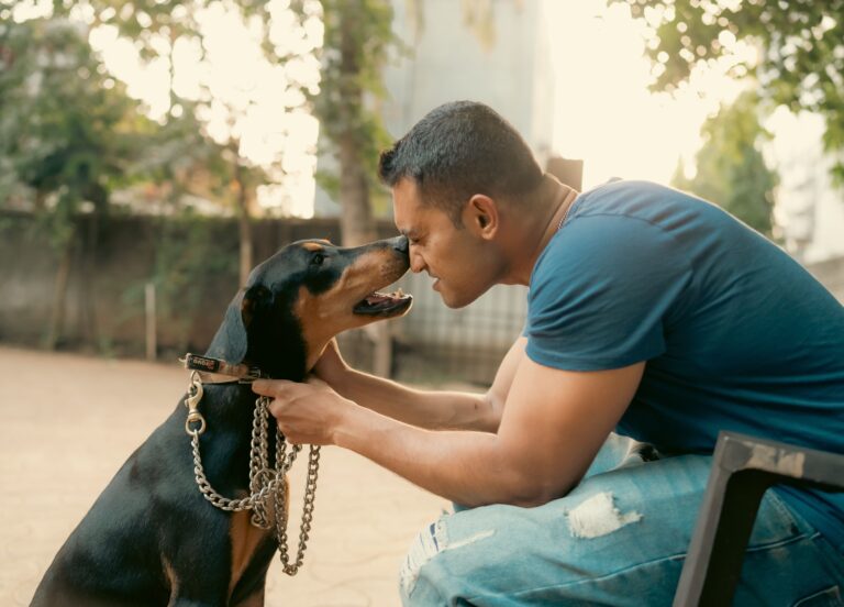 Why Some Dogs Only Relax When They Can See You From Across the Room — Research Confirms Dogs Use Visual Contact With Their Owner as a Secure Base Just Like Infants Do With Caregivers