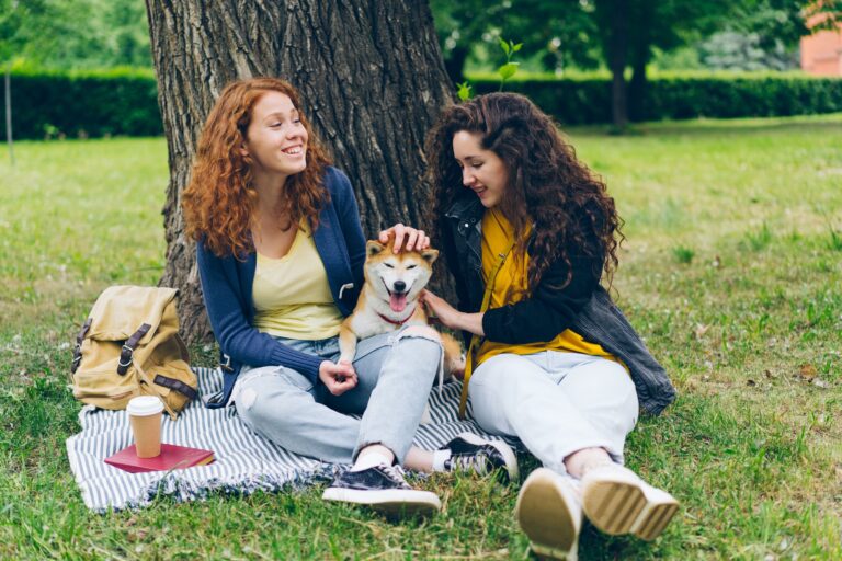 Your Dog Isn't Leaning on Your Legs to Be Cute - Physical Leaning Is a Documented Attachment Behavior That Dogs Use to Regulate Proximity to Their Primary Person
