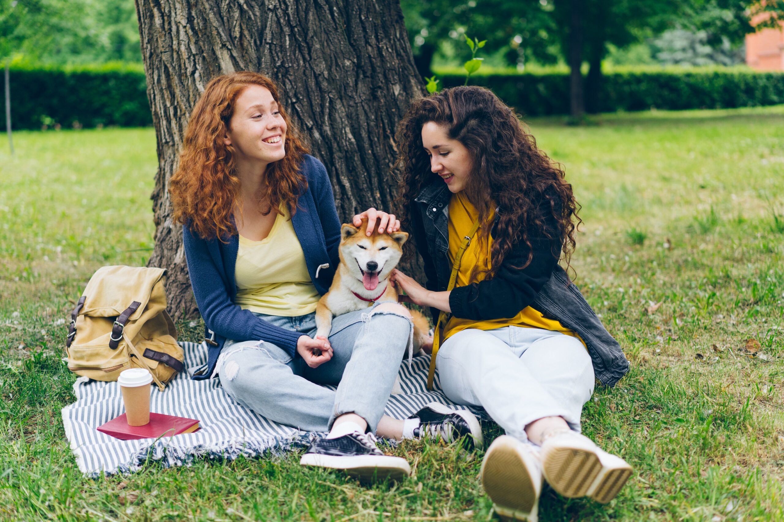 Your Dog Isn't Leaning on Your Legs to Be Cute - Physical Leaning Is a Documented Attachment Behavior That Dogs Use to Regulate Proximity to Their Primary Person
