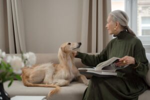 12 Habits Dog Owners Over 60 Have That Actually Extend Their Dog's Life Without Realizing It