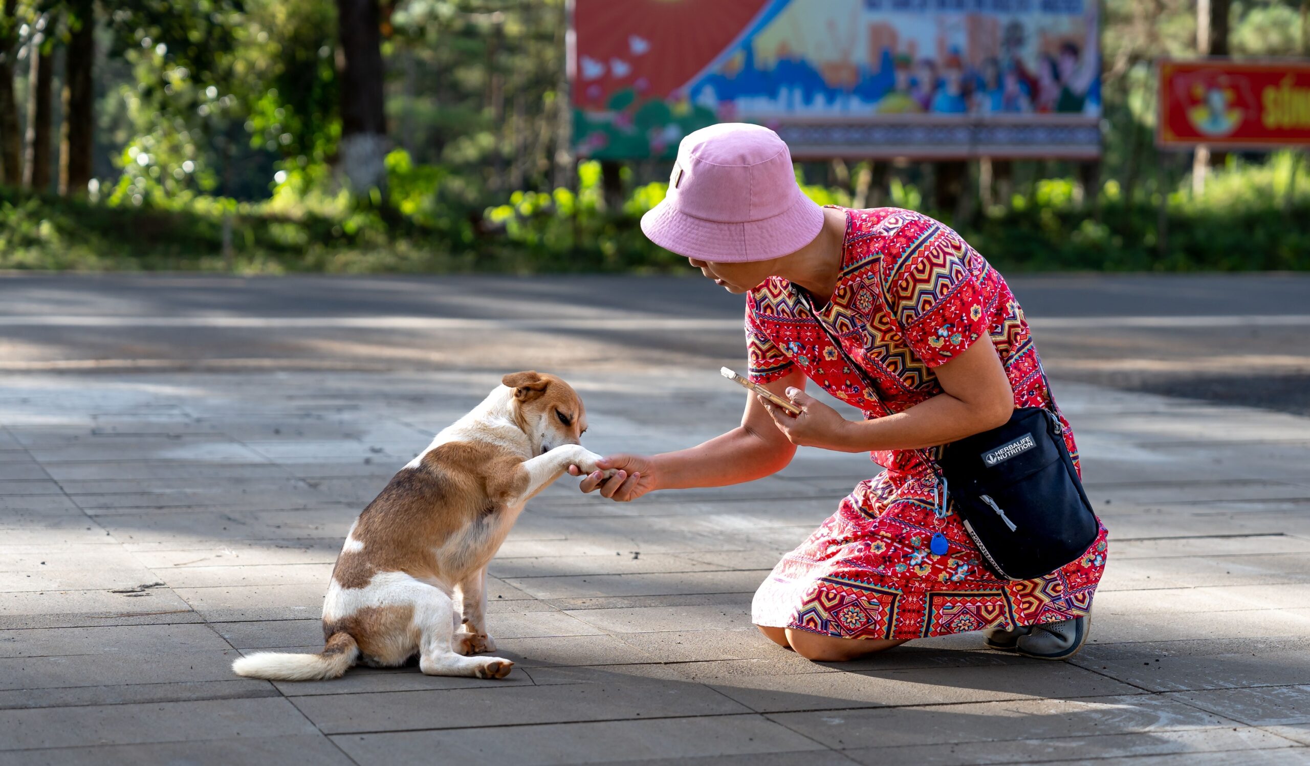 The Real Reason Your Dog Greets You Differently After a Long Absence Than After a Short One - Research Has Confirmed Dogs Calibrate Their Greeting Intensity to How Long You've Been Gone