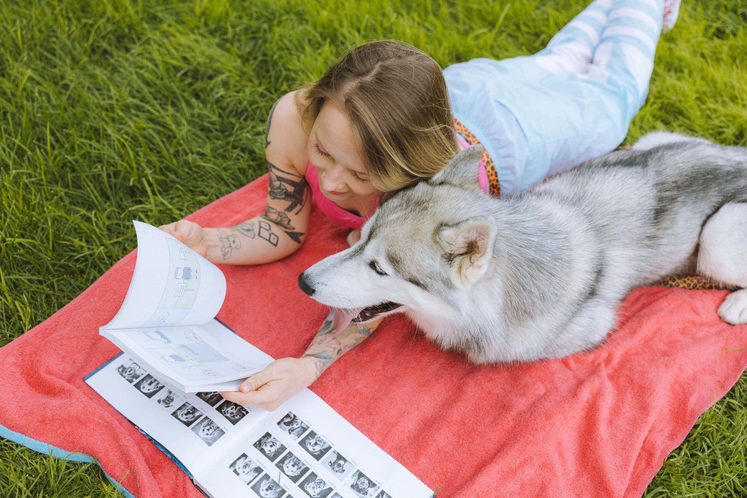 12 Habits Dog Owners Over 60 Have That Actually Extend Their Dog's Life Without Realizing It