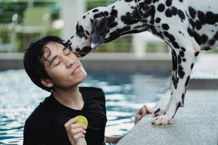 Which Zodiac Signs Would Genuinely Choose Their Dog Over a Romantic Relationship If Forced To