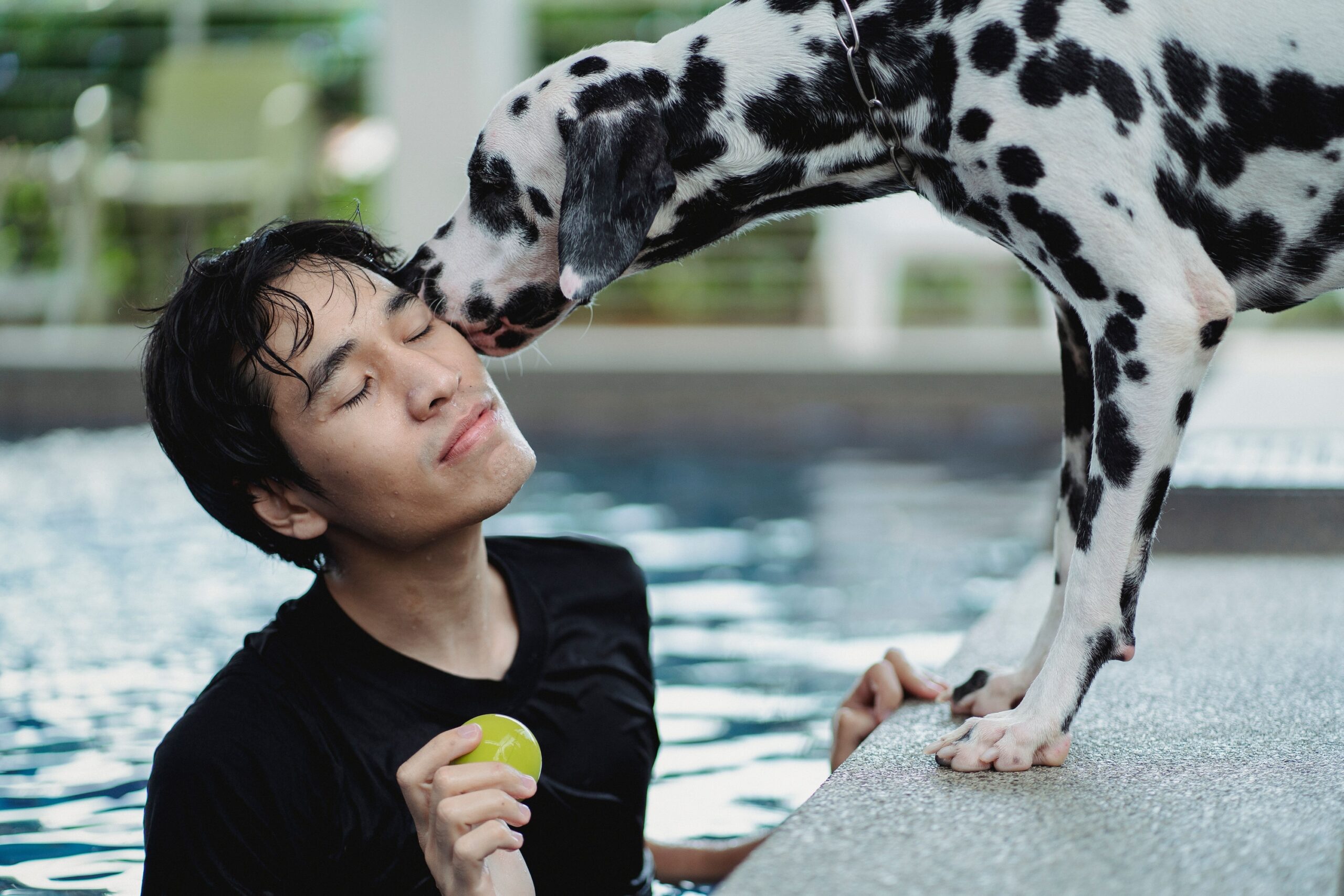 Which Zodiac Signs Would Genuinely Choose Their Dog Over a Romantic Relationship If Forced To
