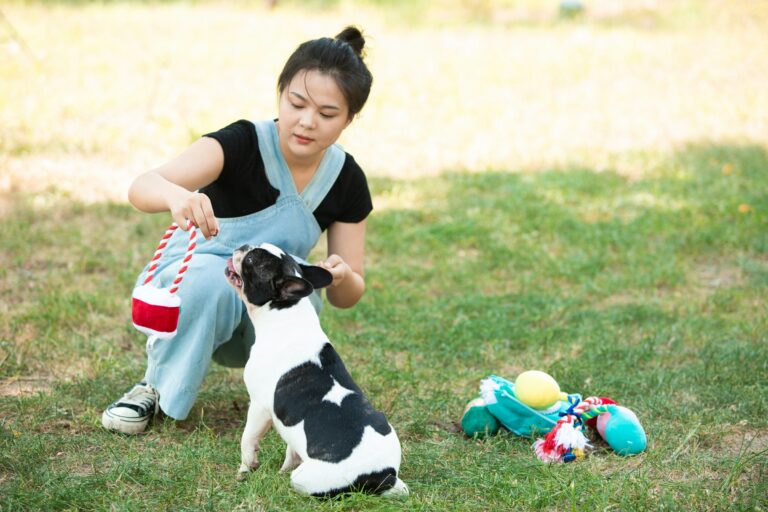 Which Zodiac Signs Are Most Likely to Cancel Plans for Their Dog Without a Single Regret