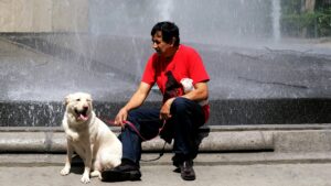 Which Zodiac Signs Are Most Likely to Notice When Their Dog Is Sad Before the Dog Shows Any Physical Sign