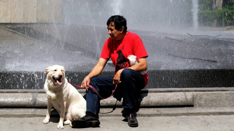 Which Zodiac Signs Are Most Likely to Notice When Their Dog Is Sad Before the Dog Shows Any Physical Sign