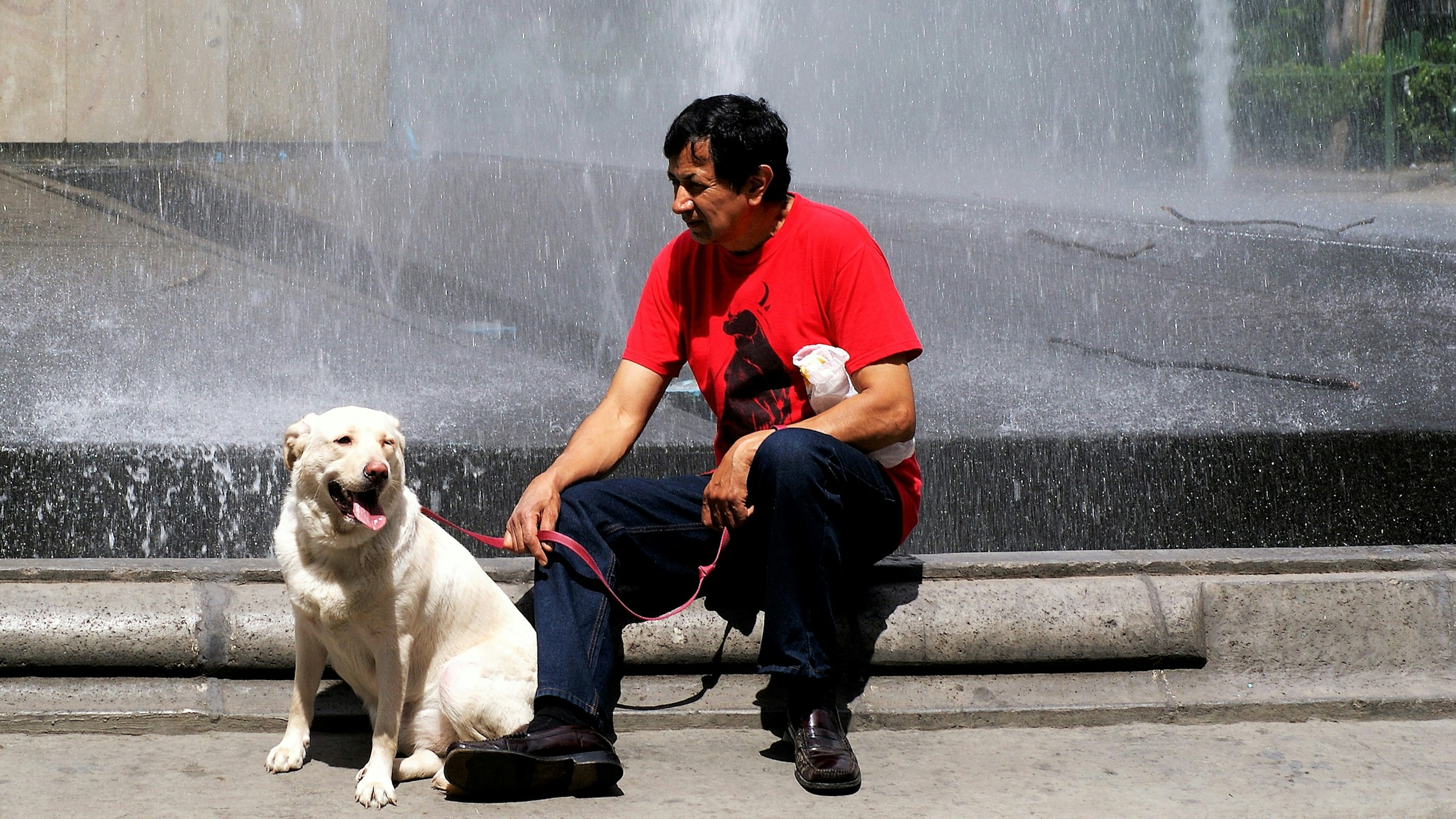 Which Zodiac Signs Are Most Likely to Notice When Their Dog Is Sad Before the Dog Shows Any Physical Sign