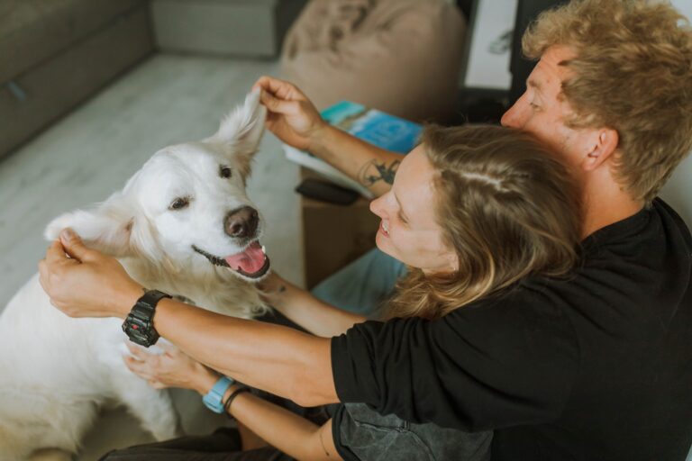 10 Signs Your Dog Has Entered the Stage of Life Where Every Day Is a Gift - And Doesn't Know It