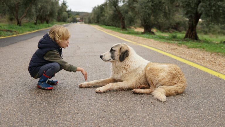 People Who Make Eye Contact With Their Dog During Stressful Moments Are Subconsciously Recreating a Bond They Lost in Childhood