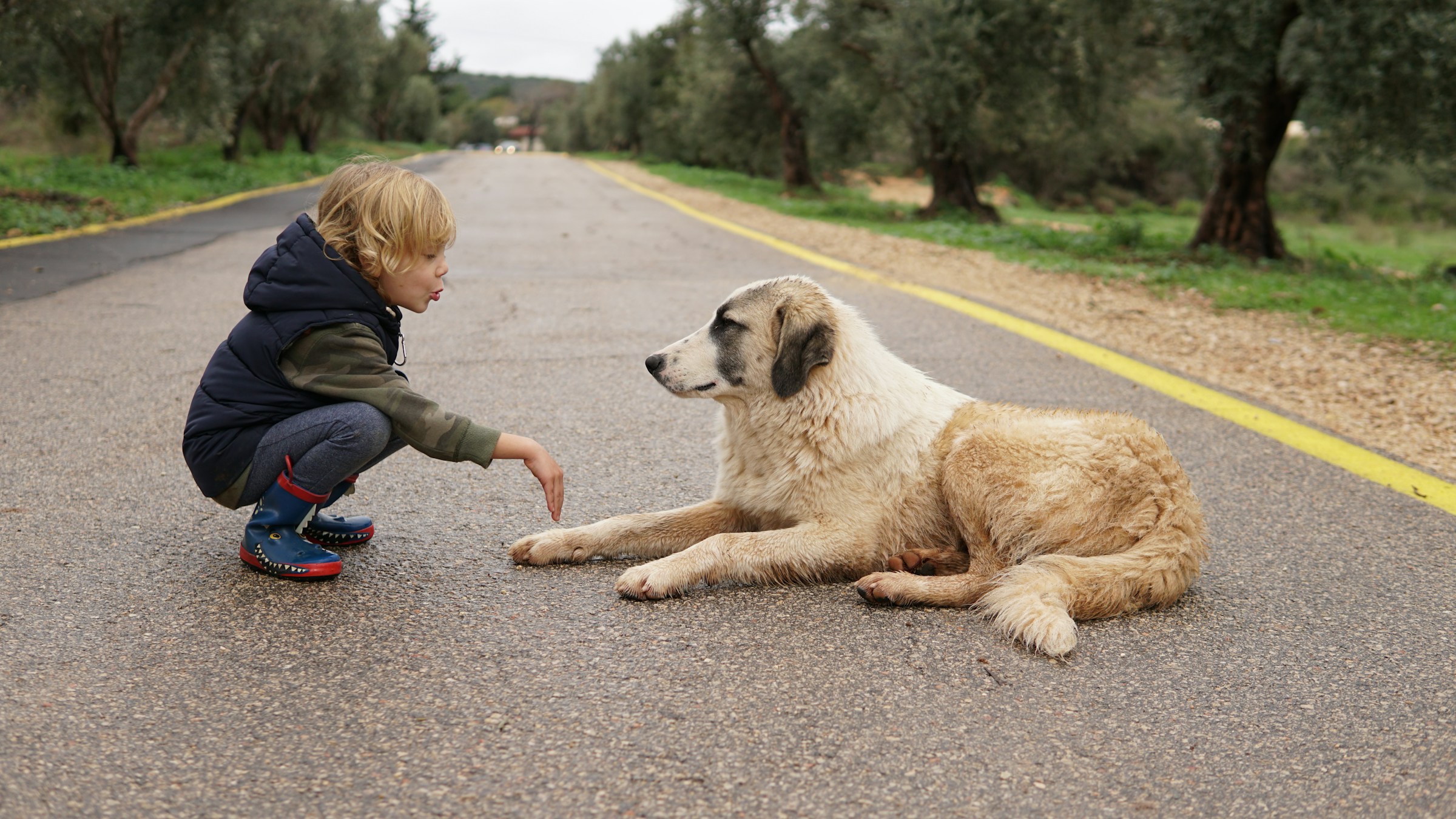 People Who Make Eye Contact With Their Dog During Stressful Moments Are Subconsciously Recreating a Bond They Lost in Childhood