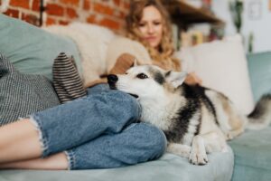 10 Dog Behaviors That Only Appear When Your Dog Has Decided They Are Responsible for Keeping You Alive