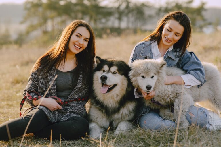 The Zodiac Signs That Would Move to a Different City Just to Give Their Dog More Space to Run