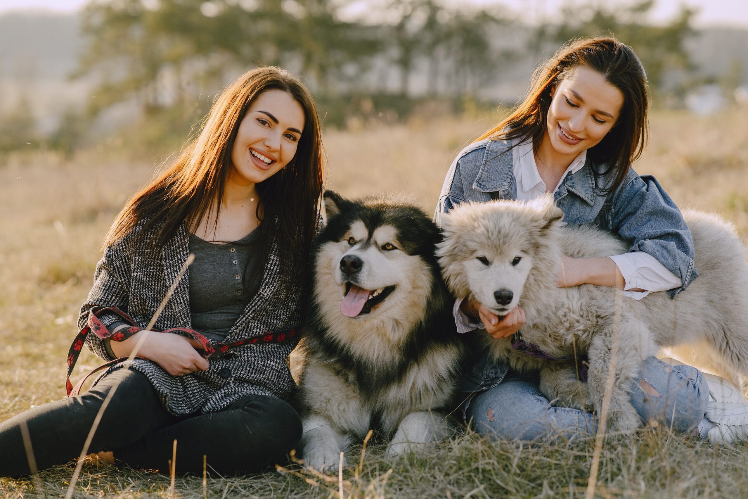 The Zodiac Signs That Would Move to a Different City Just to Give Their Dog More Space to Run