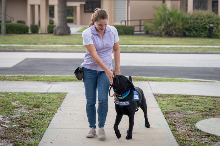 15 Reasons the Elderly Dog at the Shelter That Nobody Wants Is the One Most Worth Taking Home
