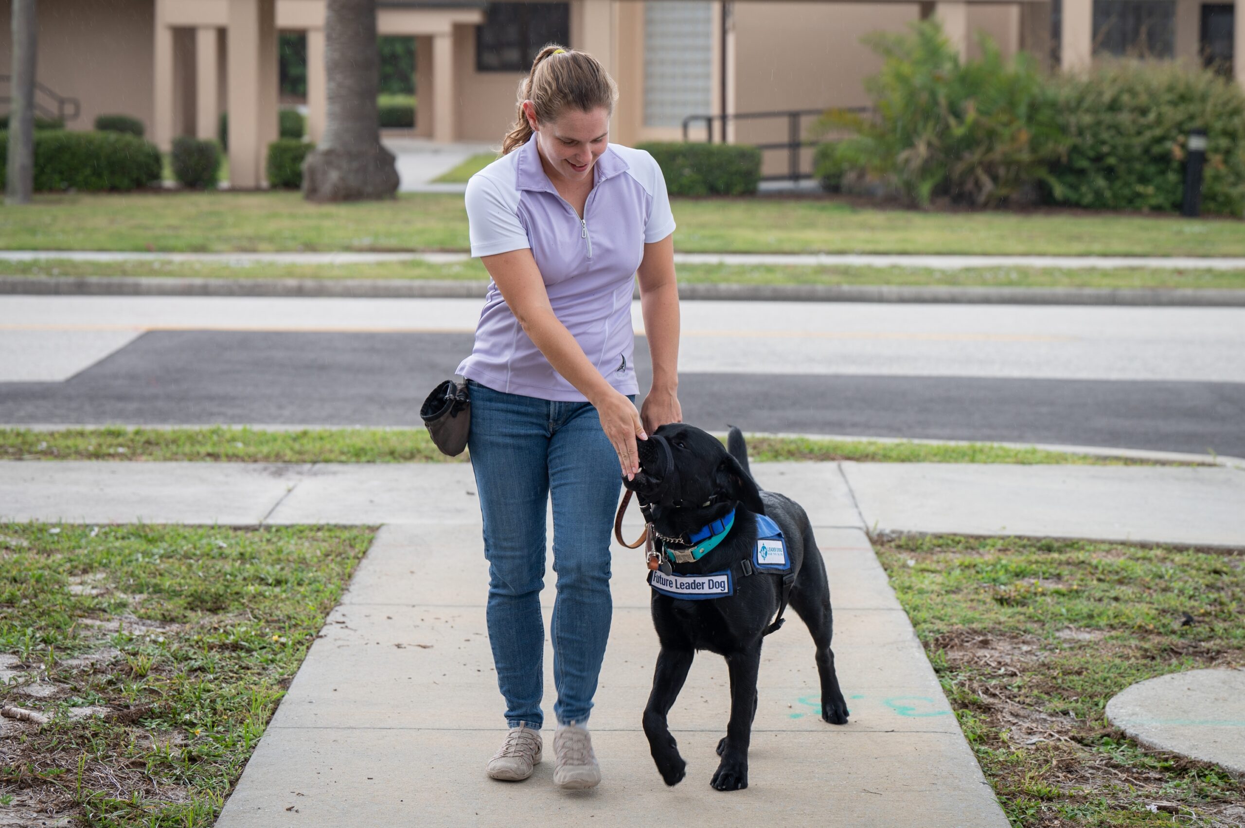 15 Reasons the Elderly Dog at the Shelter That Nobody Wants Is the One Most Worth Taking Home