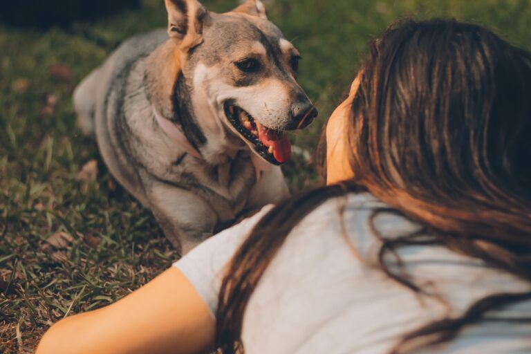 The Zodiac Signs That Talk to Their Dog Like a Therapist — And Why That Actually Makes Sense