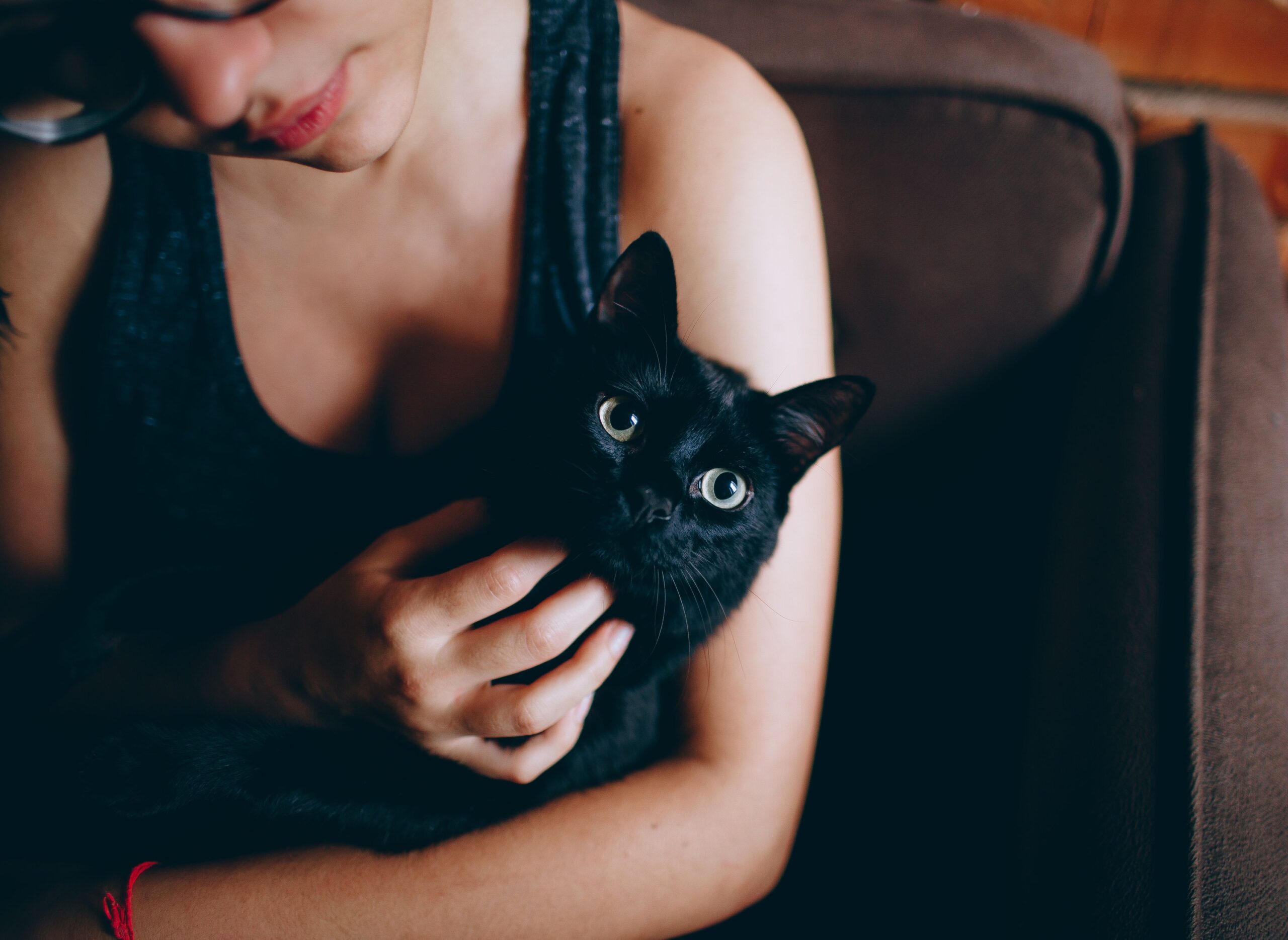 10 Things Cats Do When They're Secretly Jealous