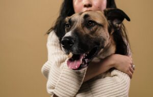 Animal Science Says When You and Your Dog Lock Eyes, You Both Release Love Chemicals — the Same Bonding Trigger That Passes Between a Mother and Her Newborn