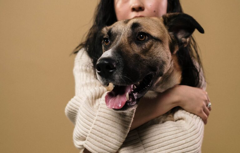 Animal Science Says When You and Your Dog Lock Eyes, You Both Release Love Chemicals — the Same Bonding Trigger That Passes Between a Mother and Her Newborn