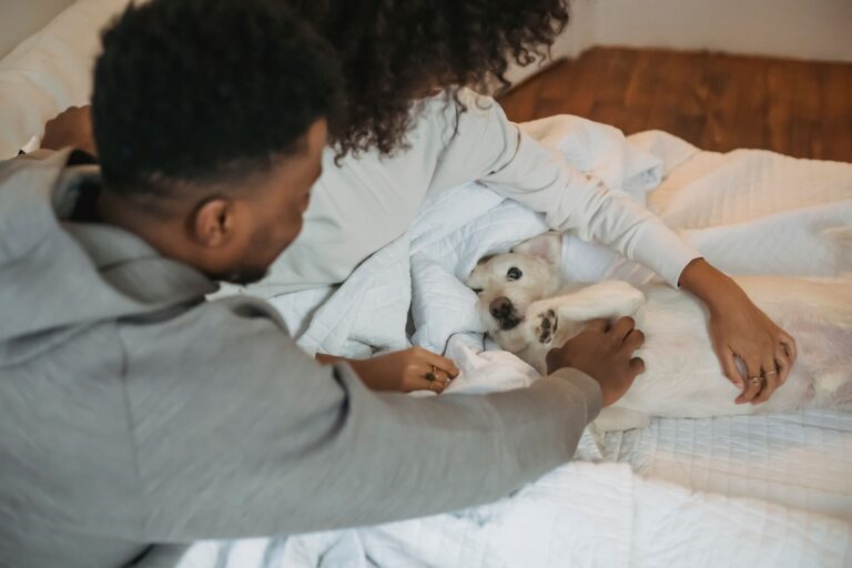 8 Things Your Dog Does Every Morning That Reveal How Happy Their Inner Life Really Is